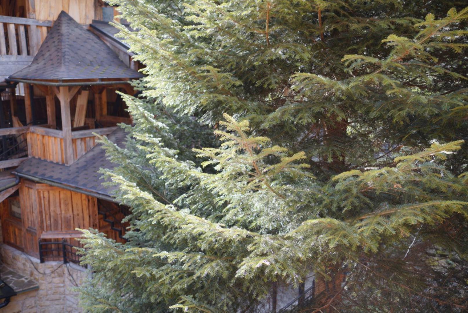 Садиба Nad Prutom Jaremtje Exteriör bild