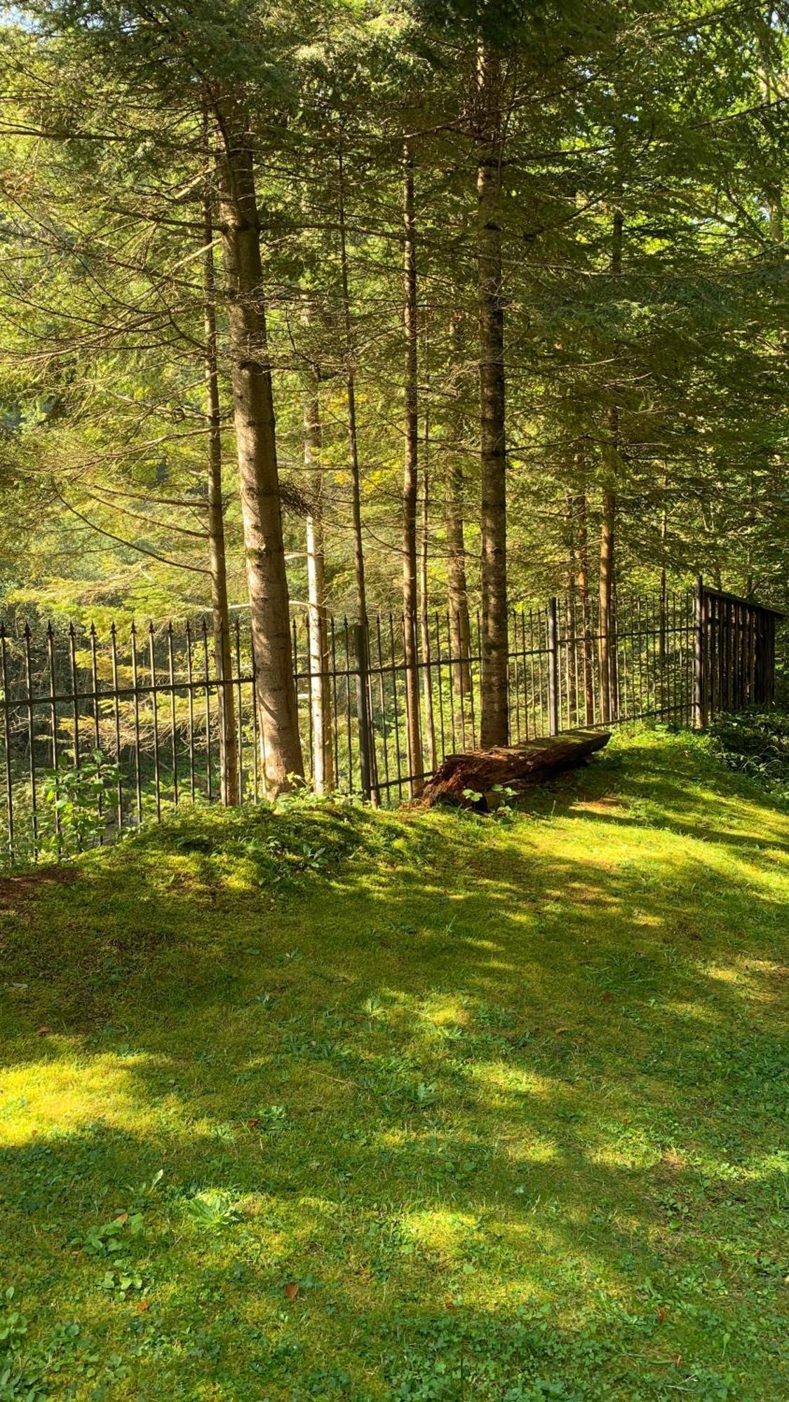 Садиба Nad Prutom Jaremtje Exteriör bild