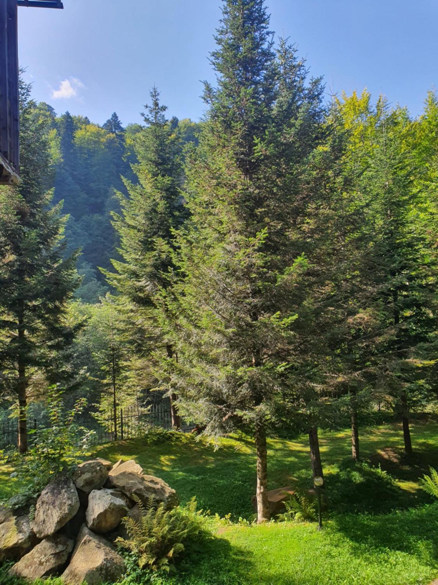 Садиба Nad Prutom Jaremtje Exteriör bild
