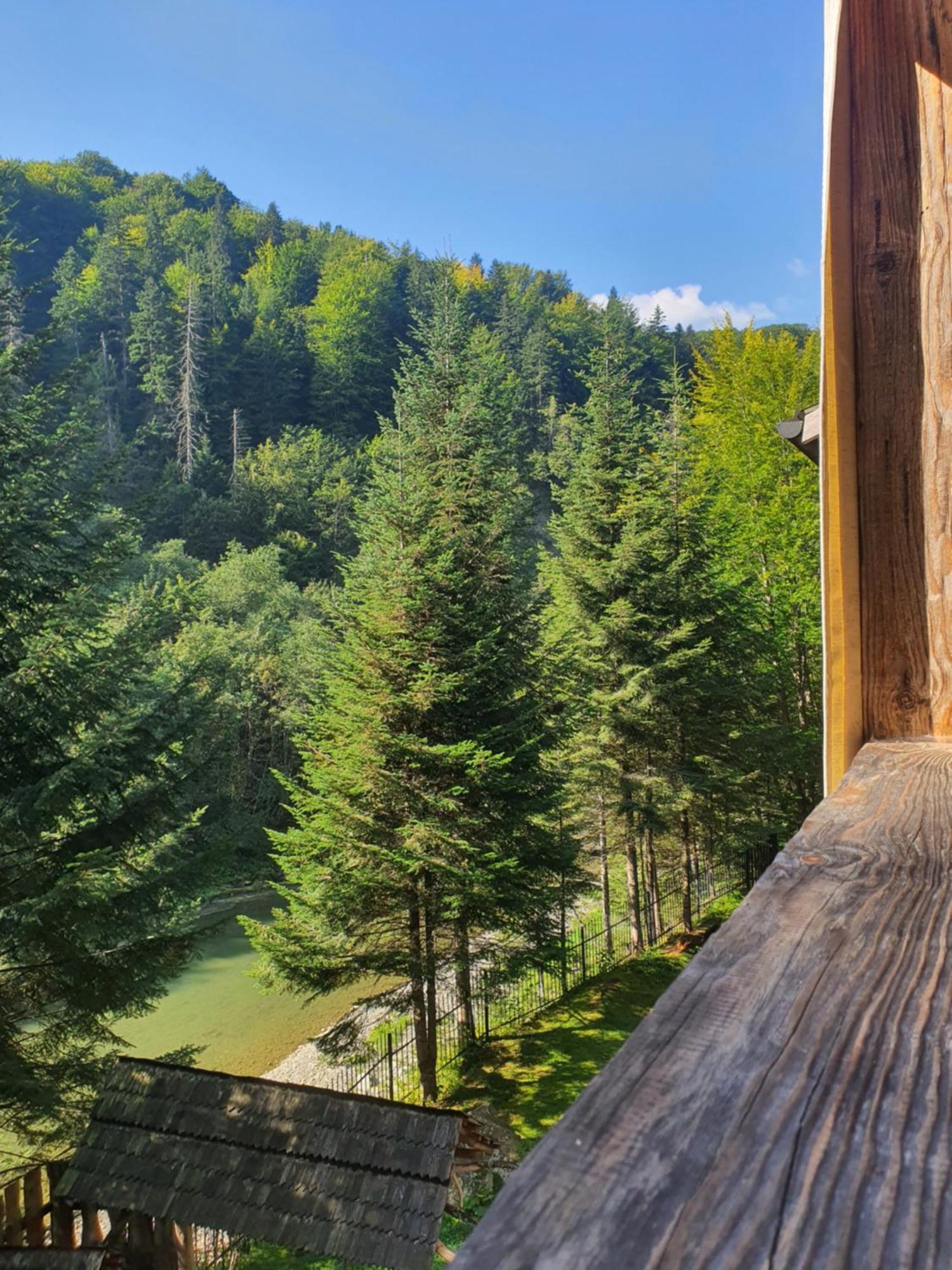 Садиба Nad Prutom Jaremtje Exteriör bild